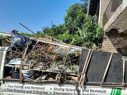 Best Foreclosure Cleanout  in Hopelawn, NJ